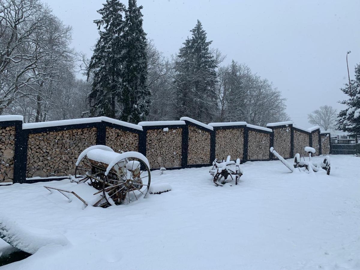Agroturystyka Gesiniec Stare Osieczno 外观 照片