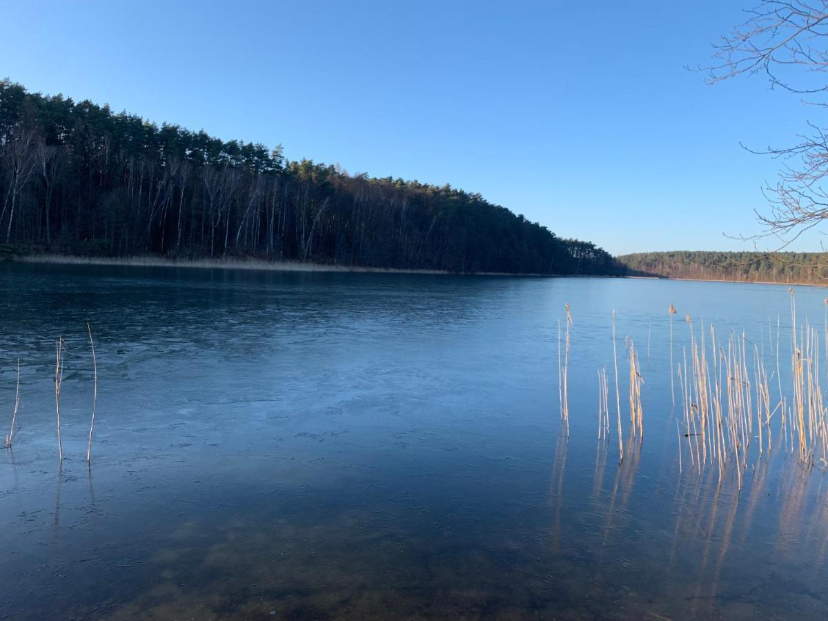 Agroturystyka Gesiniec Stare Osieczno 外观 照片