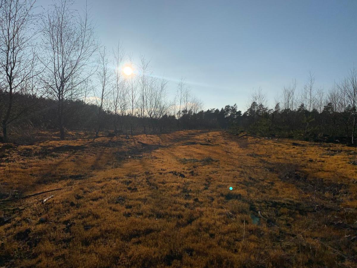 Agroturystyka Gesiniec Stare Osieczno 外观 照片