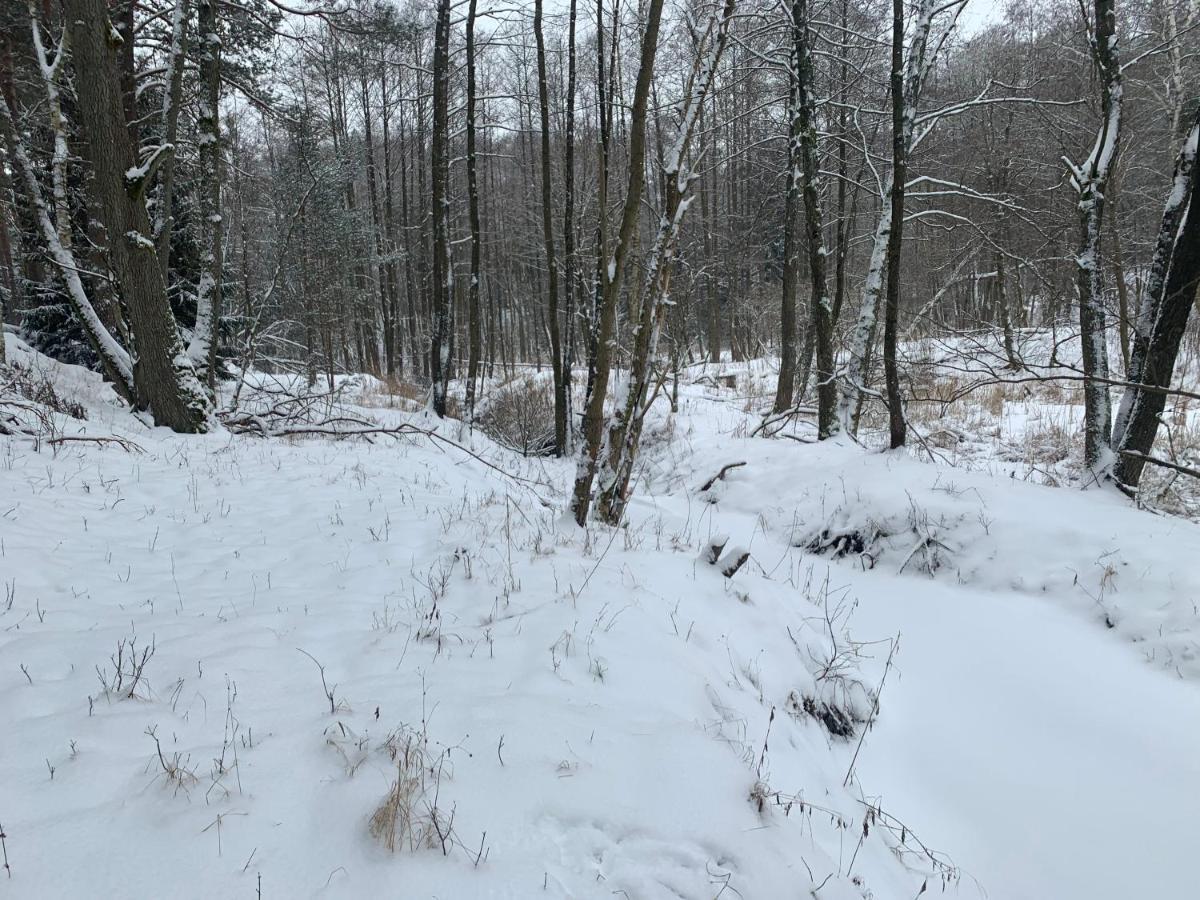 Agroturystyka Gesiniec Stare Osieczno 外观 照片