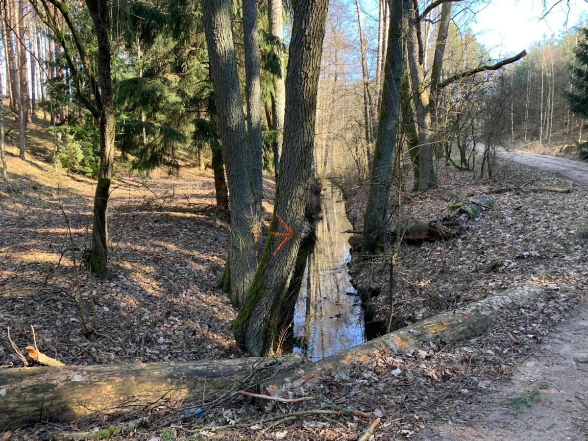 Agroturystyka Gesiniec Stare Osieczno 外观 照片