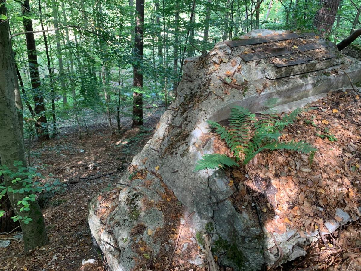 Agroturystyka Gesiniec Stare Osieczno 外观 照片