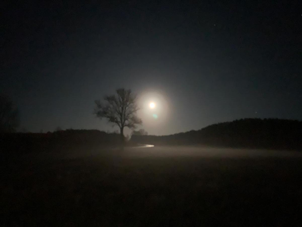 Agroturystyka Gesiniec Stare Osieczno 外观 照片