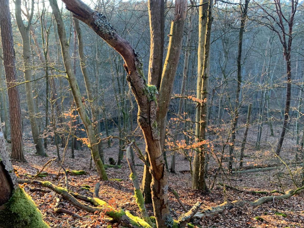 Agroturystyka Gesiniec Stare Osieczno 外观 照片